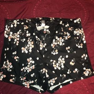 Size 20 torrid shorts.